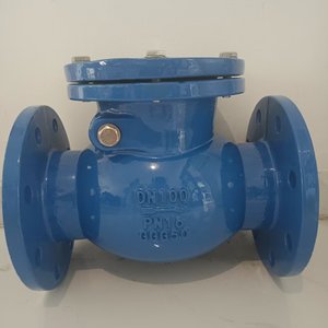 Van kiểm tra <span class=keywords><strong>Swing</strong></span> din3202 với kết nối <span class=keywords><strong>Swing</strong></span> cho kỹ thuật cấp thoát nước - Product Image 1