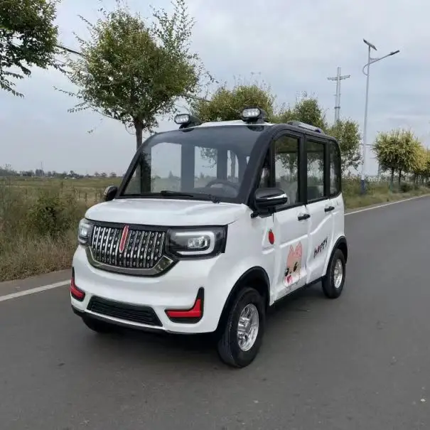 Elektrikli araba Mini sevimli yeni enerji araç elektrik otobüs 2 kişilik elektrikli arabalar yetişkin carros electrico adultos için çin'den