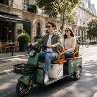 Vente en gros de tricycle électrique pour passagers avec moteur 600W/800W tricycle électrique à batterie 48V pour mobilité urbai