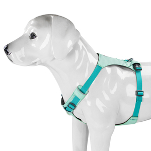 Cuddle Classic 2025 Mejor Venta caliente Arnés ajustable para perros y collar de correa con materia prima Premium al aire libre para perros Mascotas - Product Image 3