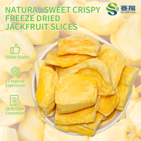 SAIYANG Groothandel OEM Gedroogde Fruitchips Gedroogde Jackfruitchips Natuurlijke Jackfruit Fruit Snack Bulk