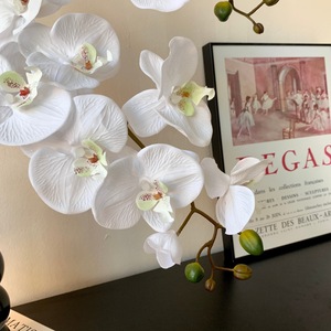 Fleur artificielle Qingyu Chronicle Phalaenopsis Orchidée, branche unique, fleur en soie violet clair, accessoires décoratifs pour la maison et les mariages - Product Image 4