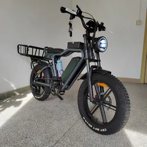 48V 1000W 22Ah Battery 20Inch Full Suspension Electric Fat Tire Family Cargo Bike Bicycle