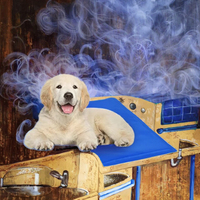 Tapis de refroidissement pour chien Gel Summer Car Cooling Sleeping Pad Cool Cat Heat Relief Pet Cushion Icy Cool Mat
