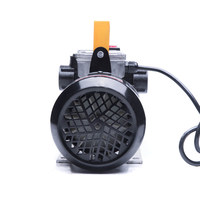 Pompe à kerosene diesel automatique, 220V, grand débit, distributeur de carburant pour station essence