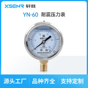 Manomètre Suzhou Xuansheng YN60 2,5 MPa en acier inoxydable anti-vibration, raccord fileté 60 mm - Product Image 4