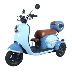 Hot Sale Electric Tricycle 3 Wheel For Adult 550W Motorcycle 3 Wheel Motorcycle