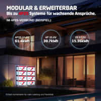 Sistema de Gestión Inteligente de Baterías con Monitoreo Bluetooth y Protección de Baja Temperatura, Tecnología de Estado Sólido LiFePO4, Modelo 24V320Ah con Reloj