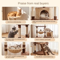 Jouets pour chats, accessoires pour chats, arbre à chat, lit pour chat, griffoir pour chat, arbre à chat intégré