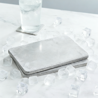 Blocs de glace réutilisables en acier inoxydable PCM pour glacière extérieure – Gardez vos aliments et boissons frais