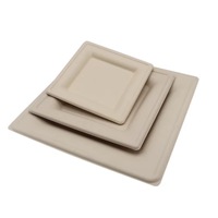 Assiettes jetables écologiques en bagasse de canne à sucre, carrées, grand format 10 pouces, extra résistantes, pour repas en famille et fêtes en extérieur