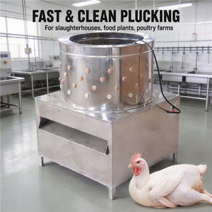 Machine à plumer la volaille de type 65, machine à plumer automatiquement les poulets, les canards et les oies pour une utilisation à la ferme - Product Image 1