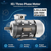 Moteur asynchrone triphasé IE1 à faible vibration 1,5 CV 1,1 kW 380 V 50 Hz avec corps en fonte pour usage industriel