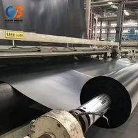 Bâche géomembrane HDPE lisse, imperméable et anti-infiltration pour la construction de décharges modernes, bassins piscicoles, aquaculture, réservoirs et barrages