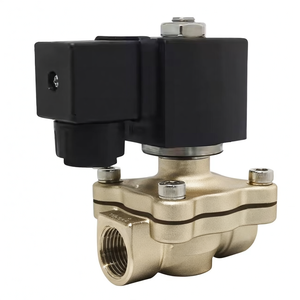 Válvula de Control de Agua COVNA 2W31 de 1/2 Pulgada, 2 Vías, Normalmente Cerrada, de Acero Inoxidable CF8M, para Agua, Aire, Vapor y Gas, Válvula Solenoide - Product Image 1