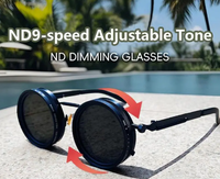 Lunettes de soleil à teinte réglable, lunettes polarisées rondes à 1-9 niveaux avec filtre ND