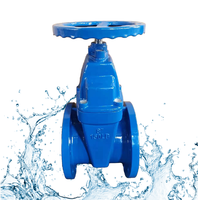 Vanne à opercule manuelle en fonte ductile, à joint souple, à extension NRS, à bride, DN100-500, classe 150 ANSI, pour alimentation en eau souterraine