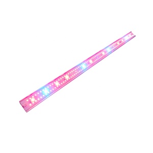 ไฟปลูกพืชแบบ LED รุ่นใหม่ล่าสุด R2T 2020 อลูมิเนียม <span class=keywords><strong>Sunbar</strong></span> V2-2CHN 840 วัตต์ Spider Bloom ขนาด 5x5 - Product Image 5
