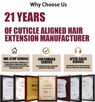 Extensions de queue de cheval en cheveux humains 100 % naturels, qualité salon, lisses, avec cordon de serrage, vente en gros, fournisseur en vrac