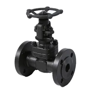 ASTM A105 Two way Manual Handwheel Forged Steel Flanged Hard Seal Gate Valve 1 inch