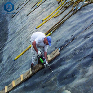 ราคาแผ่นปูพื้น HDPE สำหรับการเพาะเลี้ยงสัตว์น้ำ สีขาว/น้ำเงิน ขนาด 0.2 มม./0.3 มม./0.5 มม./1.0 มม. - Product Image 3