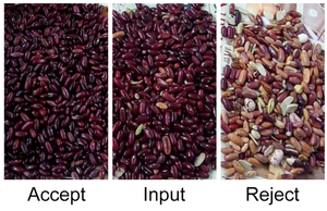Hoge Capaciteit Witte Rode Bruine Bonen Kleur Sorteerder Te Koop - Product Image 6