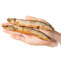 Délicieux filets à poissons métalliques pour de délicieux plats de fruits  de mer - Alibaba.com