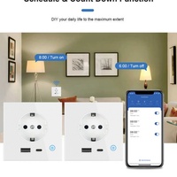 Prise murale électrique intelligente Tuya WiFi moderne avec charge rapide USB Type-C, application et commande vocale, fonction de minuterie