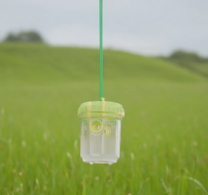 Trampa para Avispas de Plástico Resistente para Abejas e Insectos, 9x13.5cm - Product Image 3