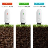 MLM Simple Capteur d'humidité du sol sans fil RF, Thermomètre Hygromètre Numérique, Moniteur de plantes, Testeur d'eau pour Jardin et Pelouse, ABS Chine