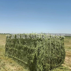 Pacas de Heno de Alfalfa para Yaks, Caballos, Camellos, Cabras Lecheras, Alpacas, Alimento y Nutrición - Product Image 1
