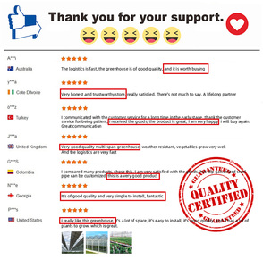 Prefab nấm đa-span nhà kính màu xanh lá cây nhà Kit khung kim loại cấu trúc polycarbonate nhà kính để bán - Product Image 5