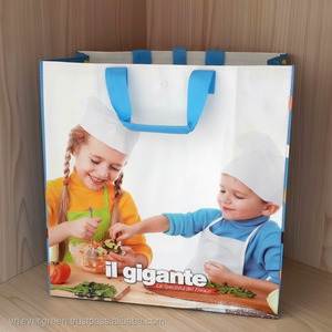 Bolsas de Compra Reutilizables de Polipropileno Tejido de la Marca EVERGREEN, Reciclables, con Asas de Longitud de Mano, Tamaño Personalizado, Fábrica de Vietnam - Product Image 1