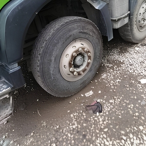 <span class=keywords><strong>Camion</strong></span> d'occasion Sinotruk HOWO TX7 PRO 540HP 8x4, tête de benne basculante pour <span class=keywords><strong>Camion</strong></span> Volquete 8x4 12 roues, conduite à gauche, Euro 6 Diesel, caisse de 6,2m - Product Image 4
