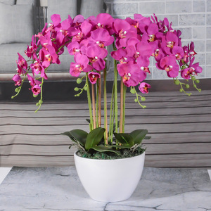 <span class=keywords><strong>Vaso</strong></span> Decorativo H-164 con Piante Vive, Fiori Artificiali in Seta Bianca, Orchidee Phalaenopsis in <span class=keywords><strong>Vaso</strong></span> Trasparente - Product Image 4