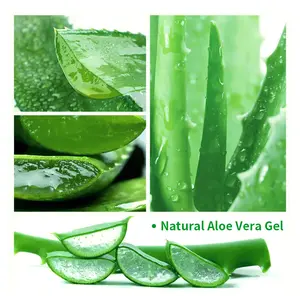 Private Label Natural Herbal Aloe Vera Moisturizing Cream Calming Reducing Redness Massage Skin Care Cream Gel Korea