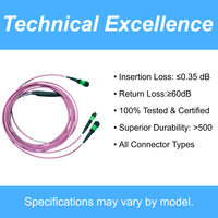 3.0mm 8F MPO/APC Branch Jumper Cable | Assemblage de fibre optique intérieur pré-terminé 1x2MPO pour centre de données | Cordon de raccordement