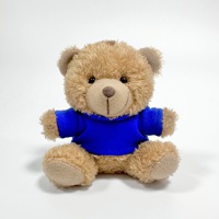 Ours en peluche personnalisé pendentif poupée en peluche coloré bébé vêtements porte-clés achat compagnon cadeau logo imprimé jouet