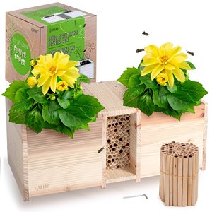 Rivajam Xây Dựng Một Bee Nhà Trồng Hộp Nhà Máy Kit Cho Trẻ Em Làm Vườn Cho Trẻ Em Gỗ Thủ Công Mỹ Nghệ Bộ Dụng Cụ Dự Án - Product Image 1