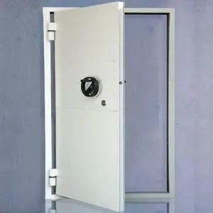 मुख्य दरवाजे के लिए लोकप्रिय डिजाइन दरवाजा सुरक्षा बाहरी स्टील सामने के दरवाजे