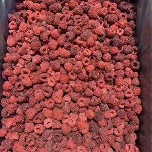 Frambuesas Congeladas Sinocharm HACCP, Fruta Fresca Orgánica Sin <span class=keywords><strong>Gusano</strong></span>, IQF, Frambuesas Congeladas 100% Enteras para Bebidas y Jugos - Product Image 6