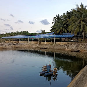 Élevage <span class=keywords><strong>de</strong></span> crevettes en système d'aquaculture recirculante (RAS), équipement d'élevage <span class=keywords><strong>de</strong></span> poissons en intérieur à <span class=keywords><strong>vendre</strong></span> - Product Image 5