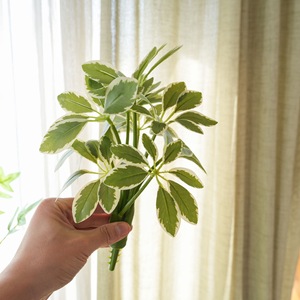 Planta Artificial CallaFloral Schefflera en Forma de Árbol, Blanca y Verde, de PVC, Decoración para Bodas, Estilo INS, Comercio Electrónico Transfronterizo - Product Image 2