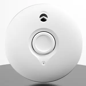 Detektor Alarm api independen industri detektor asap portabel untuk manufaktur rumah baterai 10 tahun hidup