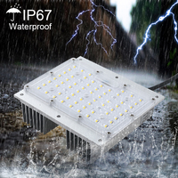 Module LED à prix de gros 50W/60W, source d'éclairage haute puissance, éclairage extérieur de jardin, puce Epistar, spot LED UV