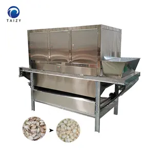 automatic 1000kg/h garlic onion peeler garlic peeling machine