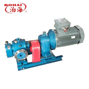 Bomba de la Serie LC Personalizable de Acero Inoxidable con Rotor de Desplazamiento Positivo para Alta Viscosidad 0.6MPa, Industria de Biocombustibles - Product Image 5