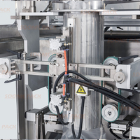 Machine d'emballage automatique de glaçons et de bâtonnets glacés 1kg 2kg 5kg