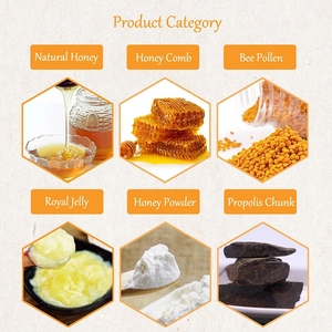 Miel de Abeja Natural BEESTAR, Venta Directa de Fábrica, en Envases de Polietileno, al Mejor Precio para Repostería o Postres - Product Image 1