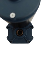 Motor Gear Brushed Magnet Permanen 12V 24V 48V 350W 600W 800W 40rpm dengan Torsi 19.1Nm, Rating IP65, untuk Mesin Pemotong Rumput Remote Control Komersial